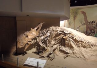 Αυτή είναι η παγκόσμια πρωτεύουσα των δεινοσαύρων