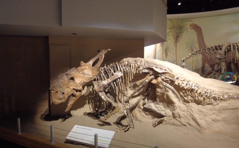 Αυτή είναι η παγκόσμια πρωτεύουσα των δεινοσαύρων