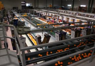 Σε φάση ανάκαμψης και επέκτασης η μεταποίηση