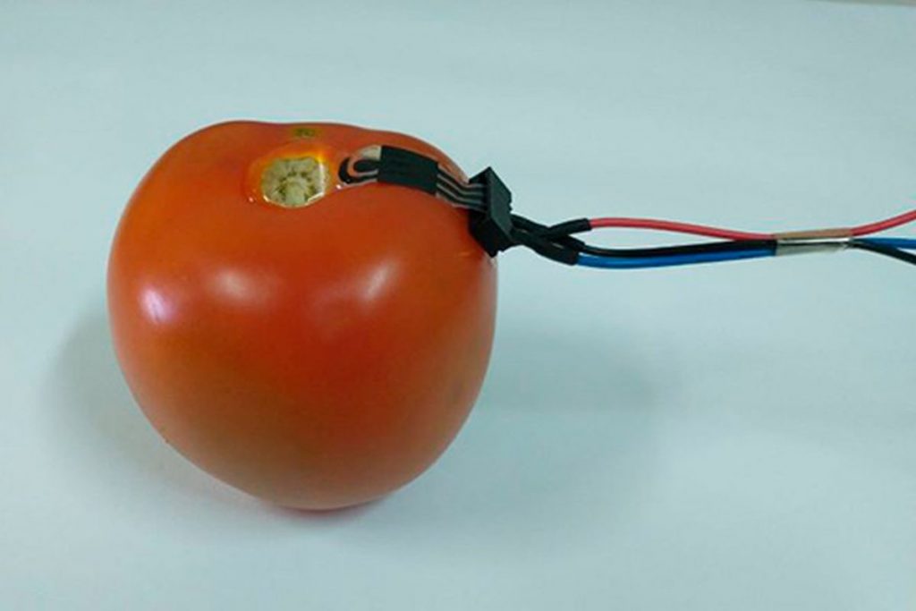 Συσκευή «φοριέται» σε φρούτα και λαχανικά και μετράει τα φυτοφάρμακα