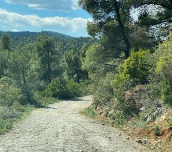 1.436.660 ευρώ για νέα έργα αγροτικής οδοποιίας στον Δήμο Μάνδρας – Ειδυλλίας