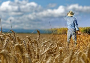 ΕΕ: Εξαιρούνται οι ευρωπαίοι αγρότες από τους κανόνες της αγρανάπαυσης