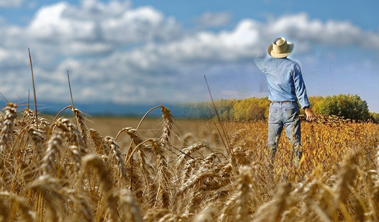 ΕΕ: Εξαιρούνται οι ευρωπαίοι αγρότες από τους κανόνες της αγρανάπαυσης