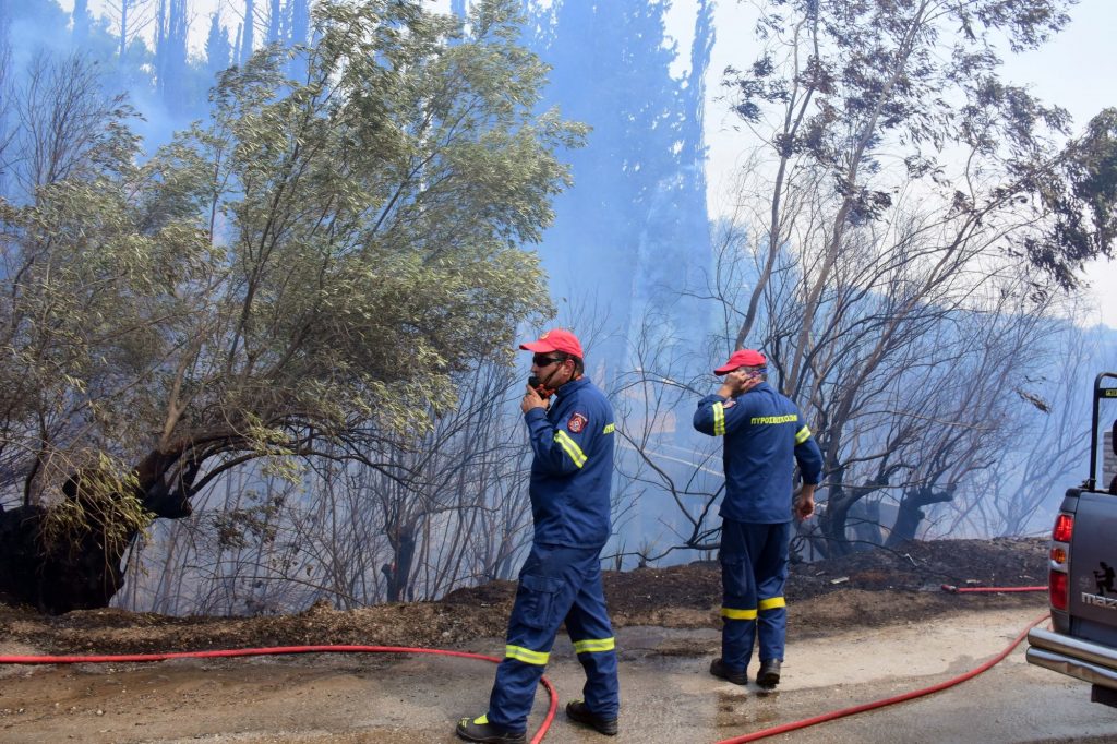 Συναγερμός στην Πυροσβεστική –  Πυρκαγιά σε δασική έκταση στην περιοχή Κρυονέρι