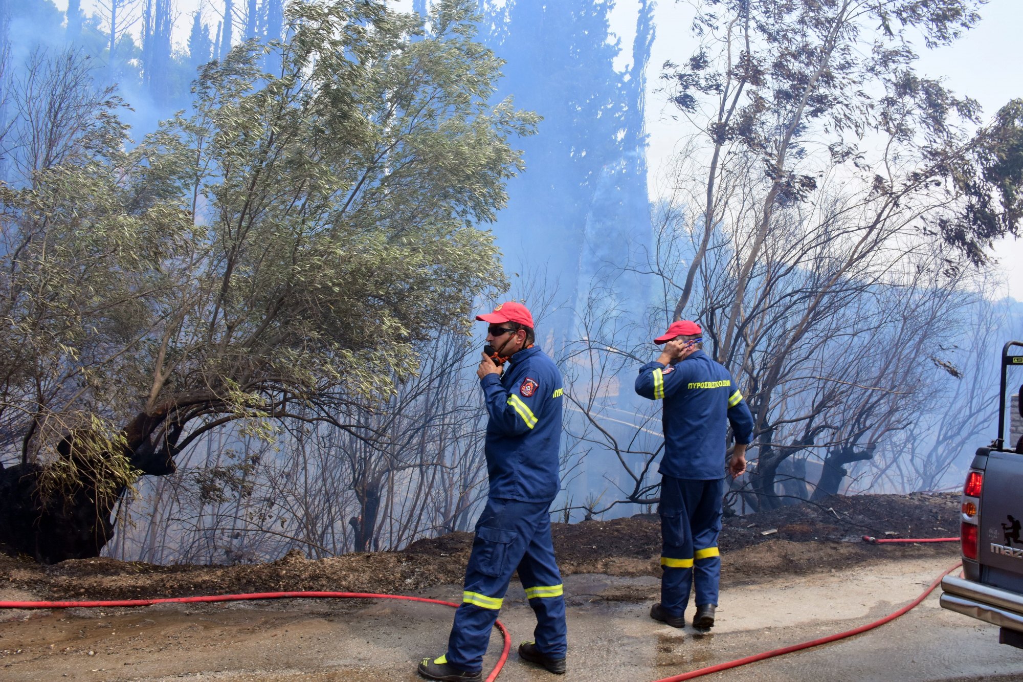 Συναγερμός στην Πυροσβεστική -  Πυρκαγιά σε δασική έκταση στην περιοχή Κρυονέρι