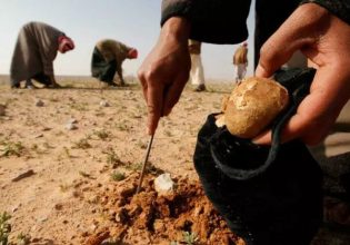 Συρία: Τουλάχιστον 14 άνθρωποι σκοτώθηκαν από νάρκη ενώ μάζευαν τρούφες στην έρημο