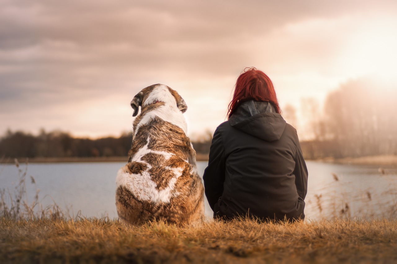 Ενσυναίσθηση: Βασική για μια αρμονική συμβίωση με τον σκύλο σας