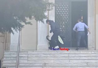 Θεσσαλονίκη: Σκύλος επιτέθηκε σε φοιτητές του ΑΠΘ