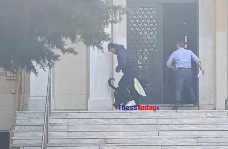 Θεσσαλονίκη: Σκύλος επιτέθηκε σε φοιτητές του ΑΠΘ