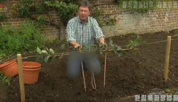 Η κρατική τηλεόραση της Βόρειας Κορέας… θόλωσε το τζιν άγγλου παρουσιαστή – Γιατί όμως;