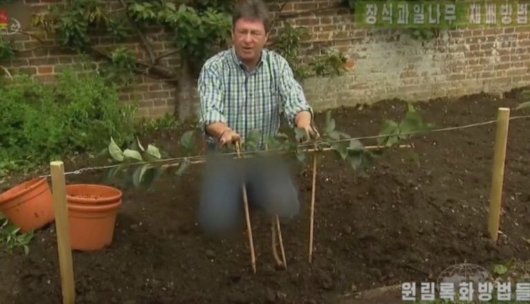 Η κρατική τηλεόραση της Βόρειας Κορέας… θόλωσε το τζιν άγγλου παρουσιαστή – Γιατί όμως;