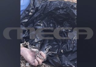 Ιωάννινα: Νέα στοιχεία για την αυτοκτονία 50χρονου – Σοκάρουν οι φωτογραφίες ντοκουμέντα