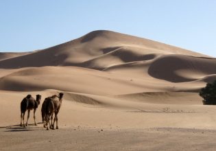 Η ακτινογραφία των μεγαλύτερων αμμόλοφων του κόσμου