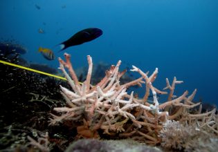 Κλιματική αλλαγή: Ο ΟΗΕ σημαίνει «κόκκινο συναγερμό» λόγω των αλλεπάλληλων ρεκόρ