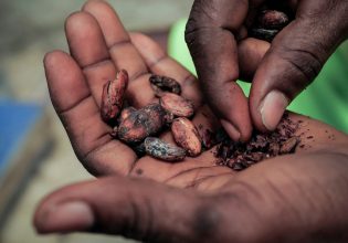 Κακάο: Σπάει κάθε ρεκόρ η τιμή του – Θα ξεμείνουμε από σοκολάτα;