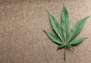 Μπορεί η κάνναβη να προκαλέσει καρδιαγγειακά προβλήματα – Νέα αποκαλυπτική έρευνα