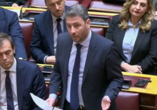 Ανδρουλάκης: Όποτε βρίσκεται σε δύσκολη θέση η ΝΔ, χρησιμοποιεί τη γλώσσα του Βελόπουλου