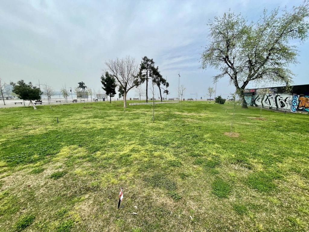 Εκτεταμένη δεντροφύτευση στη Νέα Παραλία Θεσσαλονίκης