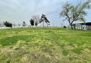 Εκτεταμένη δεντροφύτευση στη Νέα Παραλία Θεσσαλονίκης