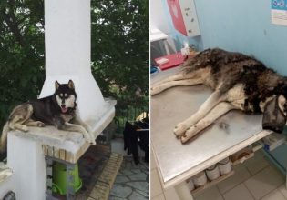 Ποινική δίωξη για την υπόθεση του Όλιβερ στην Αράχωβα