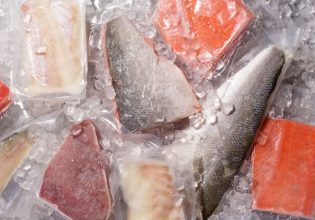 Πορτογαλία: Η αστυνομία κατέσχεσε 1,3 τόνους κοκαΐνης – Την έκρυβαν μέσα σε… κατεψυγμένα ψάρια