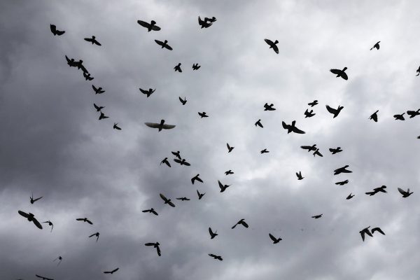 Βροχές και καταιγίδες έρχονται την Παρασκευή