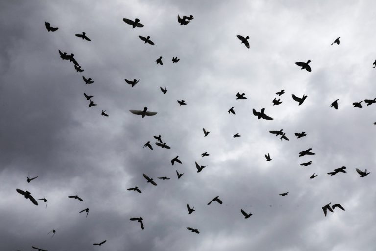 Βροχές και καταιγίδες έρχονται την Παρασκευή