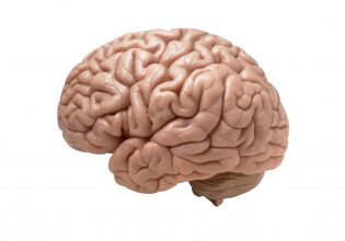 Αλτσχάιμερ: Η τεχνολογία του mRNA προσφέρει νέα προσέγγιση