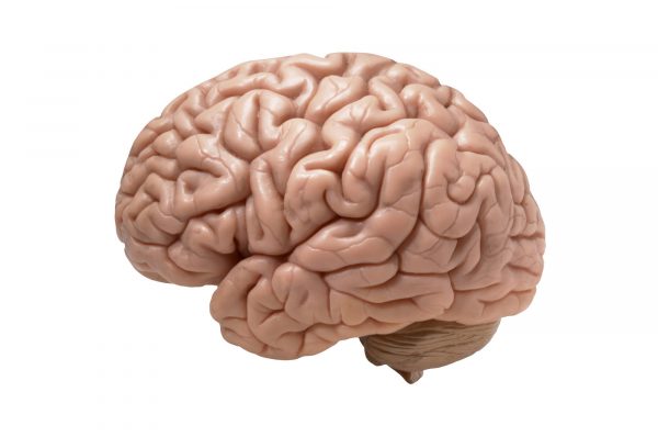 Αλτσχάιμερ: Η τεχνολογία του mRNA προσφέρει νέα προσέγγιση