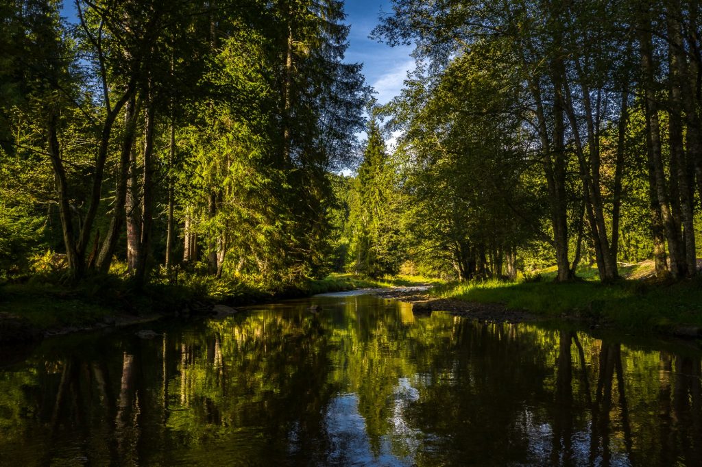 Γιορτάζουμε τη Φύση «ταξιδεύοντας» νοητά μέχρι τα παρθένα Καρπάθια Όρη