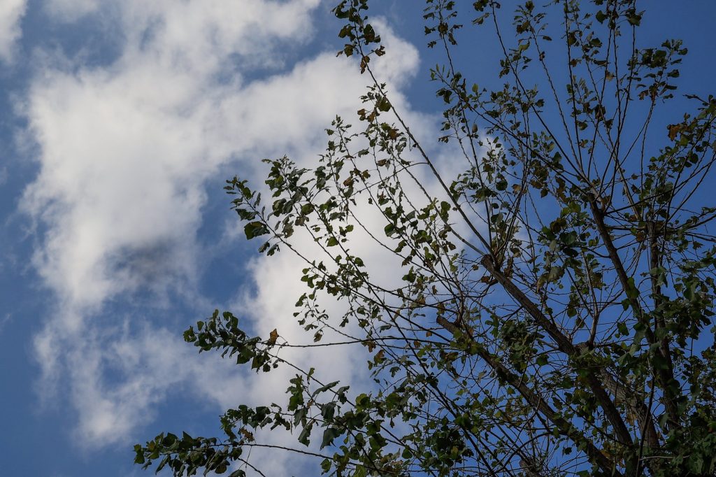 Καιρός: Απόκριες με βροχές και καταιγίδες – Δείτε σε ποιες περιοχές, τι προβλέπεται για την Αττική