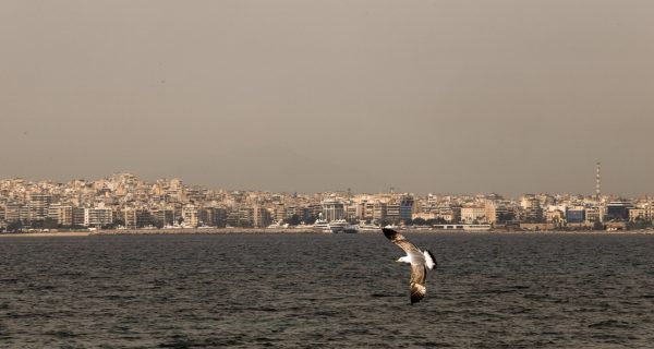 Ένωση Πνευμονολόγων: Συνιστά προσοχή καθώς η αφρικανική σκόνη δημιουργεί ιδιαίτερα τοξικό μίγμα
