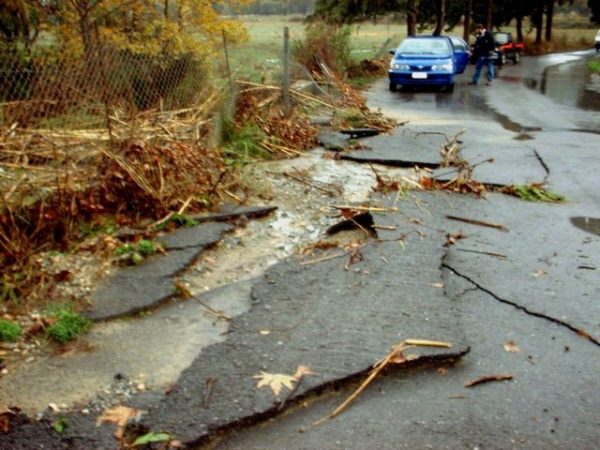 Ανακοίνωση του Δήμου Χανίων για την κοπή και την απομάκρυνση κλαδιών, που εμποδίζουν την κυκλοφορία