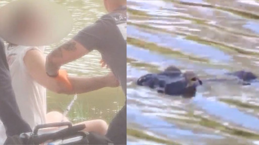 Τρομακτικές στιγμές στη Φλόριντα – Ψάρευε και τον άρπαξε γιγάντιος αλιγάτορας