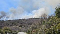 Λακωνία: Μεγάλη φωτιά στην περιοχή Άρνα στον Ταΰγετο