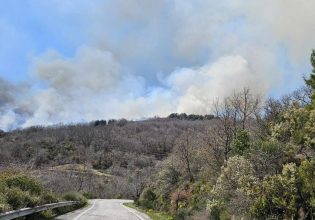 Λακωνία: Μεγάλη φωτιά στην περιοχή Άρνα στον Ταΰγετο