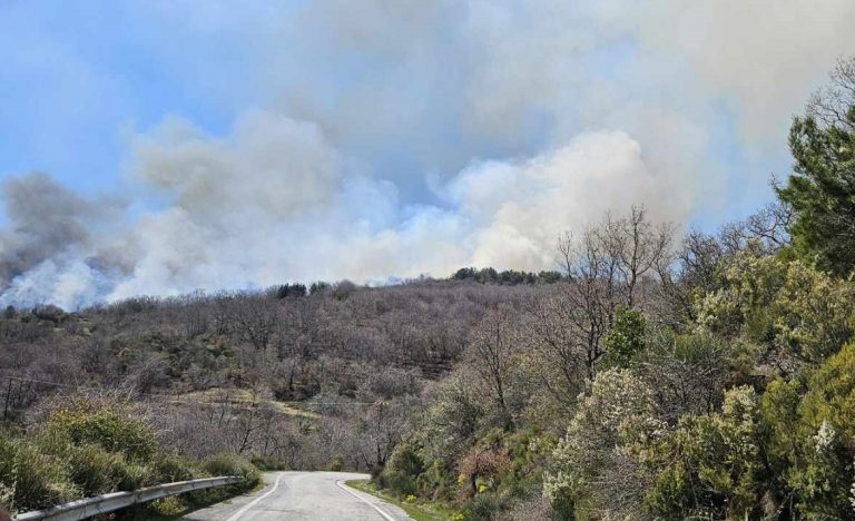 Λακωνία: Μεγάλη φωτιά στην περιοχή Άρνα στον Ταΰγετο