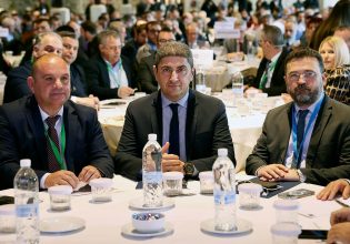 Βαμβάκι: Επτά παρεμβάσεις του ΥπΑΑΤ για τον «λευκό χρυσό»