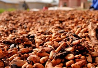 Το «ράλι» του κακάο και η άνοδος για τα συστημικά hedge funds