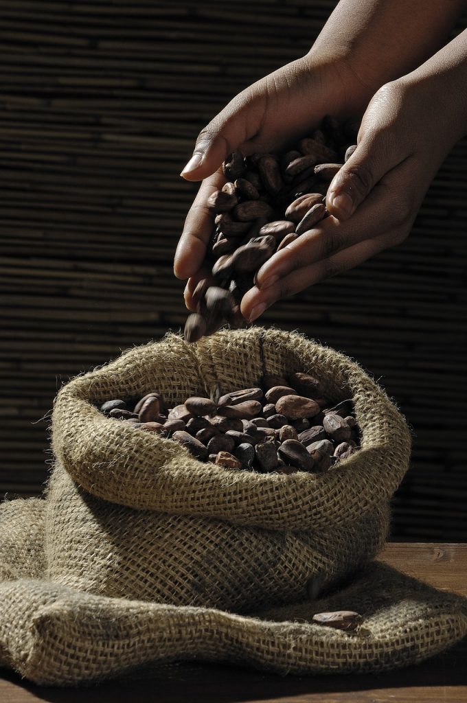 cocoa beans 499970 1280 680x1024