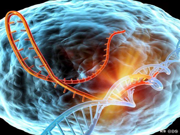 Νέα εμπόδια στους ασθενείς για πρόσβαση σε καινοτόμες θεραπείες