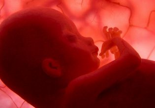 Ωάρια από δερματικά κύτταρα δίνουν βιώσιμα έμβρυα