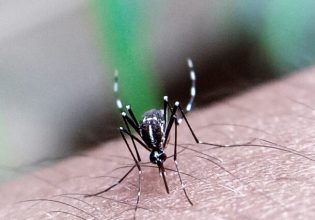 Δάγκειος πυρετός: Η «εξωτική» νόσος που απειλεί την Ευρώπη