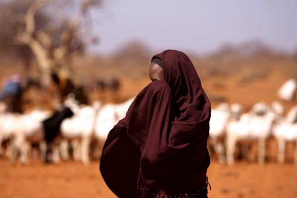 Τα απαγορευμένα δηλητήρια της Ευρώπης που καταλήγουν στα στομάχια των Κενυατών