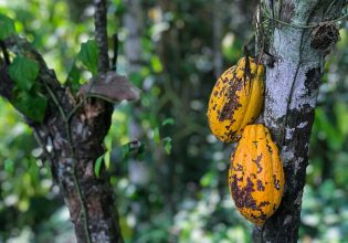Με μέτρο το κραγιόν: Αύξηση στις τιμές των καλλυντικών για το καλό του περιβάλλοντος