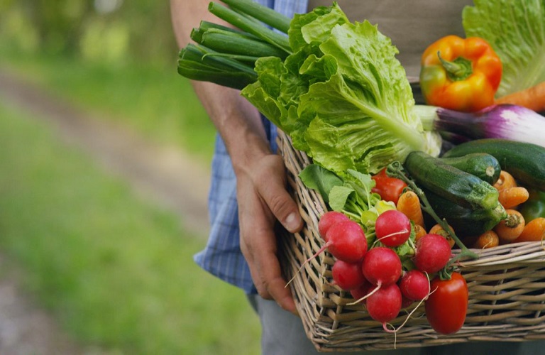 Eurostat: Ποια φρούτα και λαχανικά βρίσκονται στη κορυφή της παραγωγής