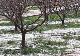 Ναύπλιο: Ζημιές από ισχυρή χαλαζόπτωση το μεσημέρι της Αποκριάς στα Πυργιώτικα
