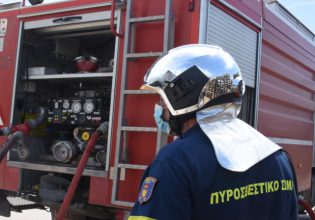 Αρκαδία: Μεγάλη φωτιά σε δασική έκταση – Επιχειρούν και εναέρια μέσα