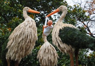 Η πρώτη μεταμόσχευση ιστού ωοθηκών σε κρυοσυντήρηση έφερε τον «πελαργό»