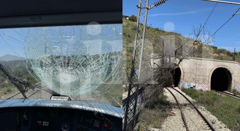 Άγιος Στέφανος: Φωτογραφίες ντοκουμέντα από τη σύγκρουση τρένου με πεσμένο δέντρο